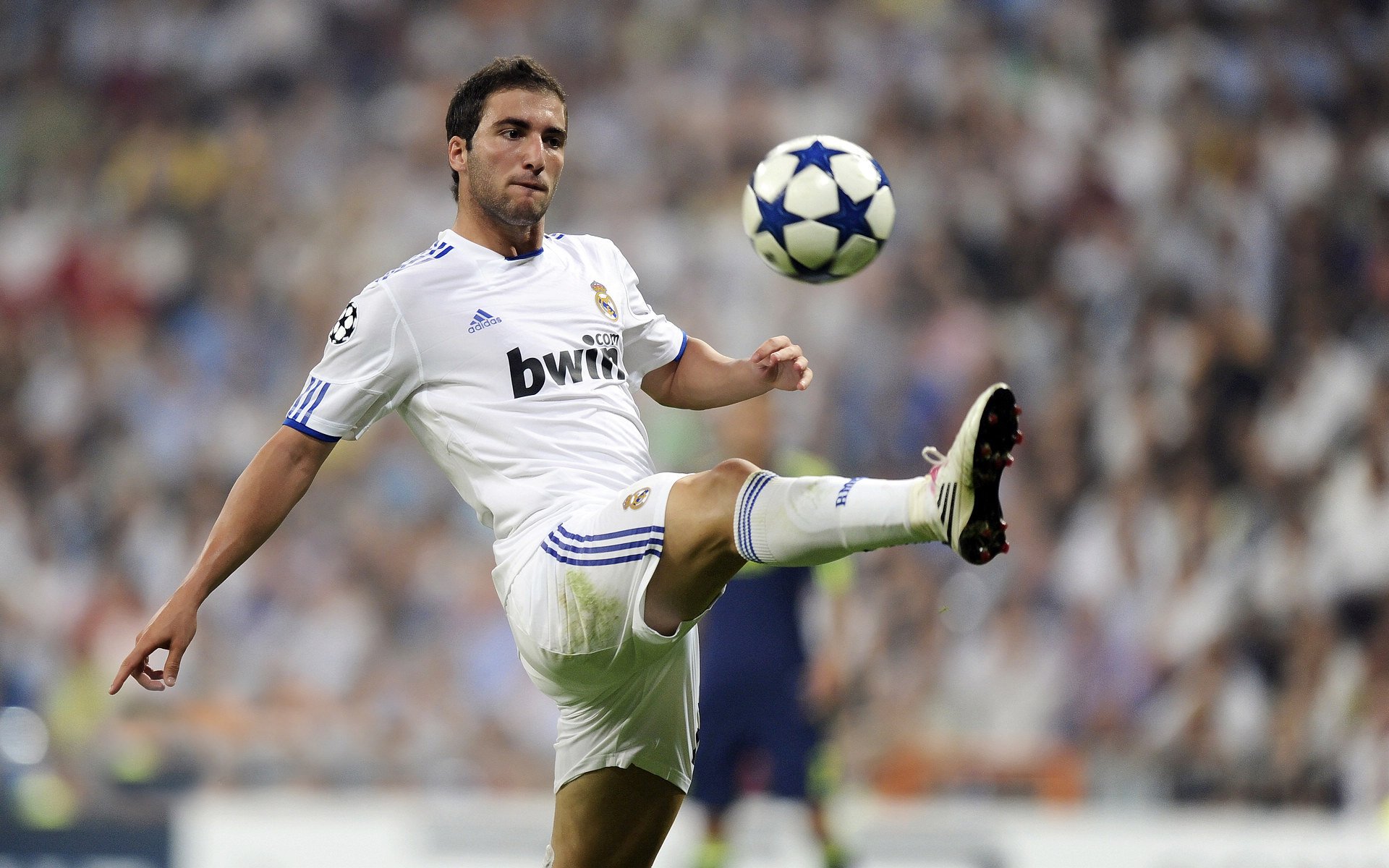 国际体操世界杯分站赛 中国小将高分夺魁